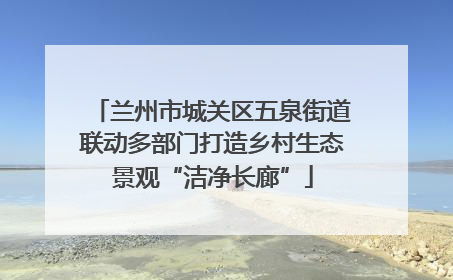 兰州市城关区五泉街道联动多部门打造乡村生态景观“洁净长廊”