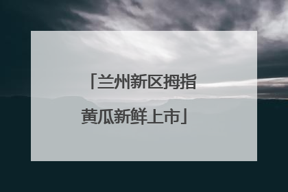 兰州新区拇指黄瓜新鲜上市