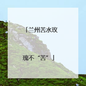 兰州苦水玫瑰不“苦”