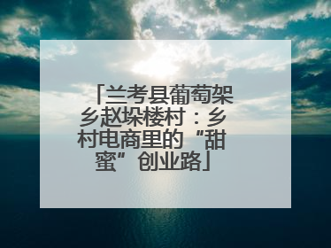 兰考县葡萄架乡赵垛楼村：乡村电商里的“甜蜜”创业路