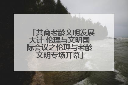 共商老龄文明发展大计 伦理与文明国际会议之伦理与老龄文明专场开幕