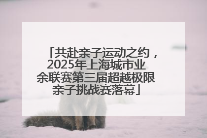 共赴亲子运动之约，2025年上海城市业余联赛第三届超越极限亲子挑战赛落幕