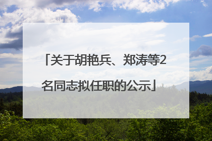 关于胡艳兵、郑涛等2名同志拟任职的公示