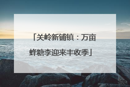 关岭新铺镇：万亩蜂糖李迎来丰收季