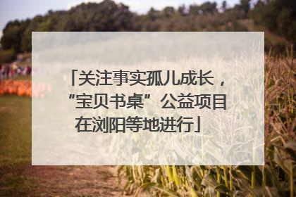 关注事实孤儿成长，“宝贝书桌”公益项目在浏阳等地进行