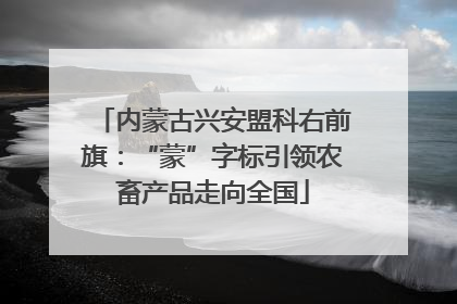 内蒙古兴安盟科右前旗：“蒙”字标引领农畜产品走向全国