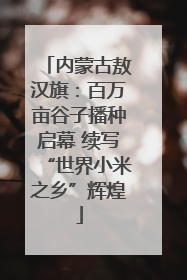 内蒙古敖汉旗：百万亩谷子播种启幕 续写“世界小米之乡”辉煌