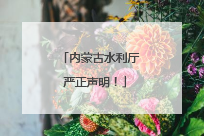内蒙古水利厅严正声明！