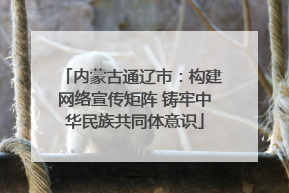 内蒙古通辽市：构建网络宣传矩阵 铸牢中华民族共同体意识