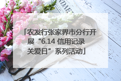 农发行张家界市分行开展“6.14 信用记录关爱日”系列活动