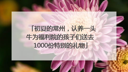 初夏的常州，认养一头牛为福利院的孩子们送去1000份特别的礼物