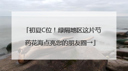 初夏C位！绿隔地区这片芍药花海点亮您的朋友圈→
