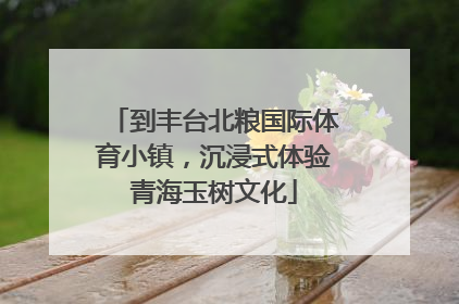 到丰台北粮国际体育小镇，沉浸式体验青海玉树文化