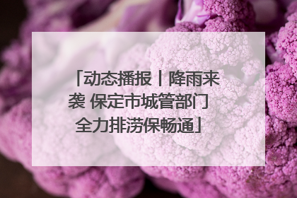 动态播报丨降雨来袭 保定市城管部门全力排涝保畅通