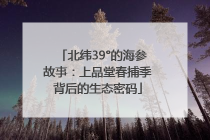 北纬39°的海参故事：上品堂春捕季背后的生态密码