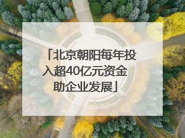 北京朝阳每年投入超40亿元资金助企业发展