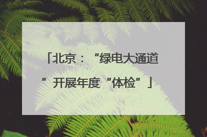北京：“绿电大通道”开展年度“体检”