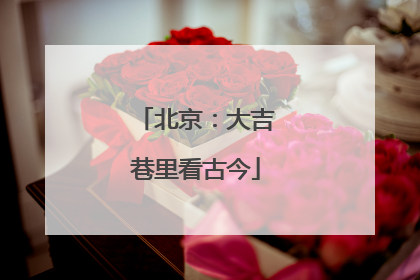 北京：大吉巷里看古今