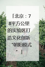 北京：78平方公里的实验区打造文化创新“朝阳模式”