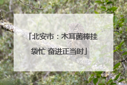 北安市：木耳菌棒挂袋忙 奋进正当时