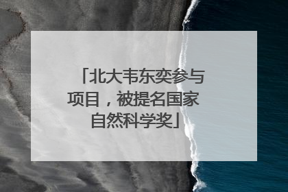 北大韦东奕参与项目，被提名国家自然科学奖