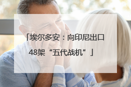埃尔多安：向印尼出口48架“五代战机”