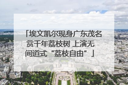 埃文凯尔现身广东茂名 赏千年荔枝树 上演无间道式“荔枝自由”