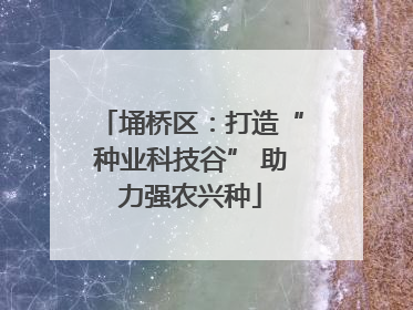 埇桥区：打造“种业科技谷” 助力强农兴种
