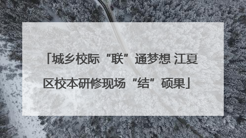 城乡校际“联”通梦想 江夏区校本研修现场“结”硕果