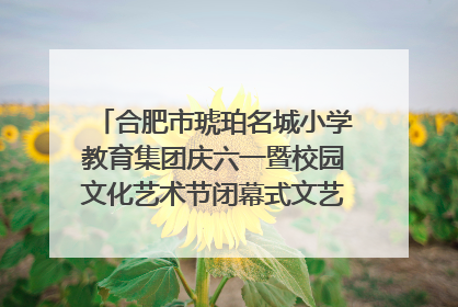 合肥市琥珀名城小学教育集团庆六一暨校园文化艺术节闭幕式文艺汇演圆满举行