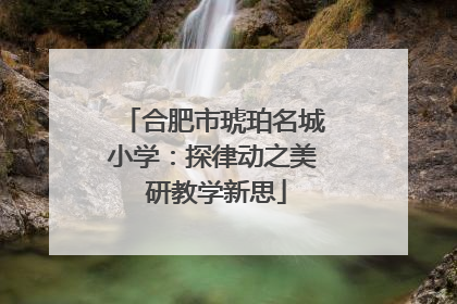 合肥市琥珀名城小学：探律动之美 研教学新思