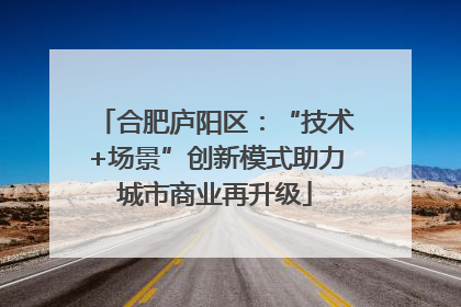 合肥庐阳区：“技术+场景”创新模式助力城市商业再升级