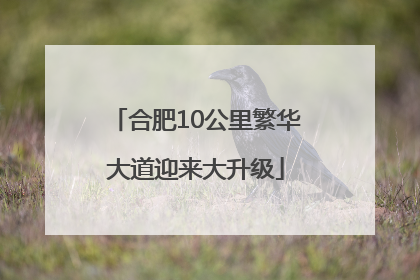 合肥10公里繁华大道迎来大升级