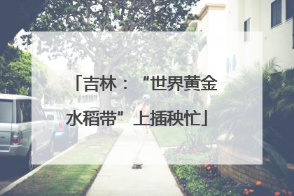 吉林：“世界黄金水稻带”上插秧忙