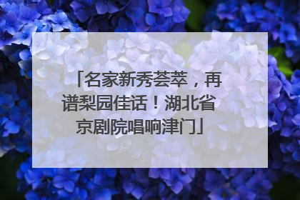 名家新秀荟萃，再谱梨园佳话！湖北省京剧院唱响津门
