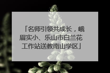 名师引领共成长，峨眉实小、乐山市白兰花工作站送教南山学区