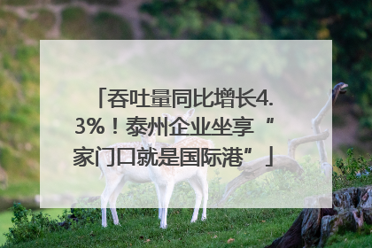 吞吐量同比增长4.3%！泰州企业坐享“家门口就是国际港”