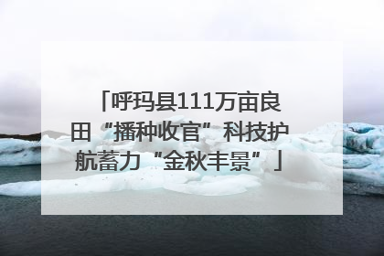 呼玛县111万亩良田“播种收官”科技护航蓄力“金秋丰景”