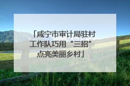 咸宁市审计局驻村工作队巧用“三招”点亮美丽乡村