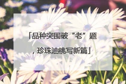 品种突围破“老”题，珍珠油桃写新篇