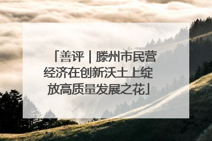 善评｜滕州市民营经济在创新沃土上绽放高质量发展之花