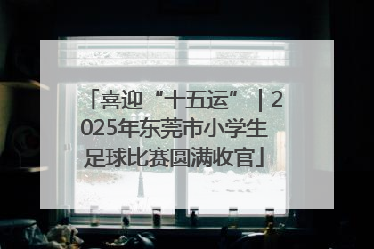喜迎“十五运”｜2025年东莞市小学生足球比赛圆满收官