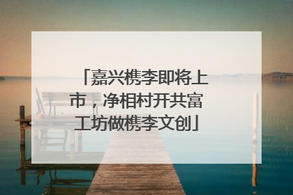 嘉兴槜李即将上市，净相村开共富工坊做槜李文创