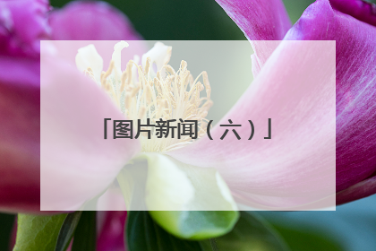 图片新闻（六）