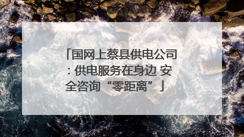 国网上蔡县供电公司：供电服务在身边 安全咨询“零距离”
