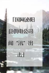 国网泌阳县供电公司闻“汛”出击