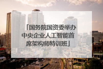 国务院国资委举办中央企业人工智能首席架构师特训班