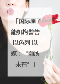 国际原子能机构警告以色列 以媒：“前所未有”