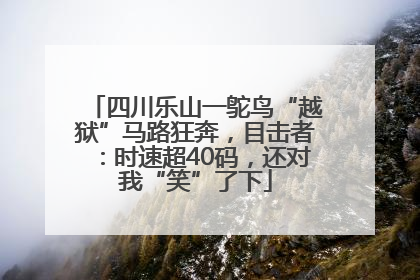 四川乐山一鸵鸟“越狱”马路狂奔，目击者：时速超40码，还对我“笑”了下