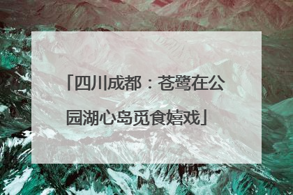 四川成都：苍鹭在公园湖心岛觅食嬉戏